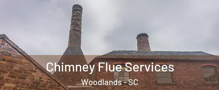 Chimney Flue Services Woodlands - SC