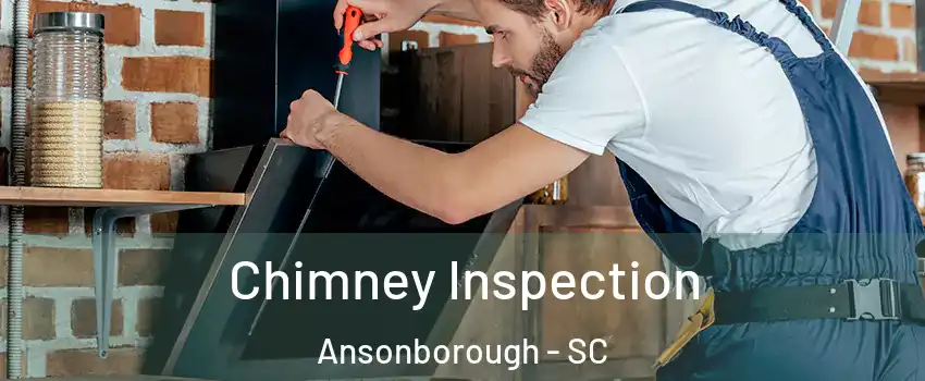 Chimney Inspection Ansonborough - SC