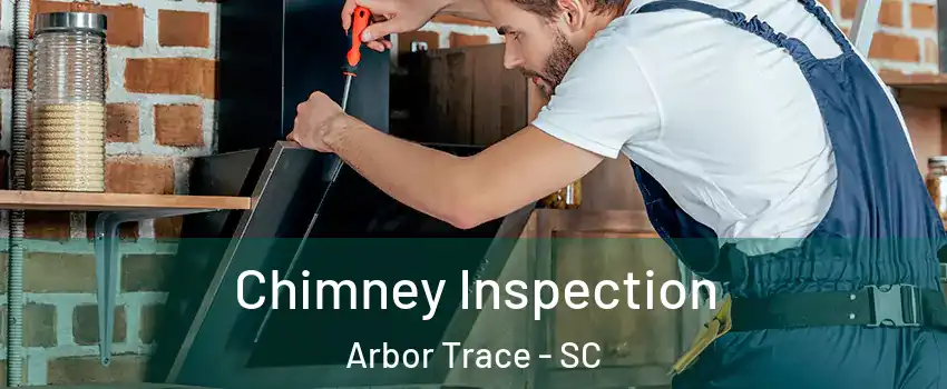 Chimney Inspection Arbor Trace - SC