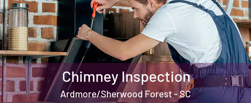 Chimney Inspection Ardmore/Sherwood Forest - SC