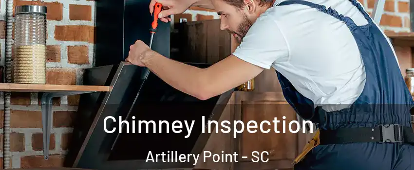 Chimney Inspection Artillery Point - SC