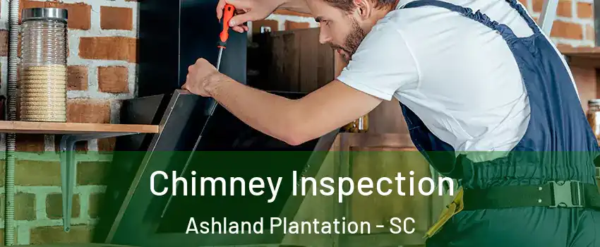 Chimney Inspection Ashland Plantation - SC