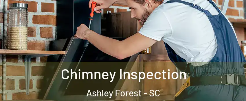 Chimney Inspection Ashley Forest - SC