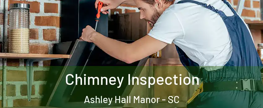 Chimney Inspection Ashley Hall Manor - SC