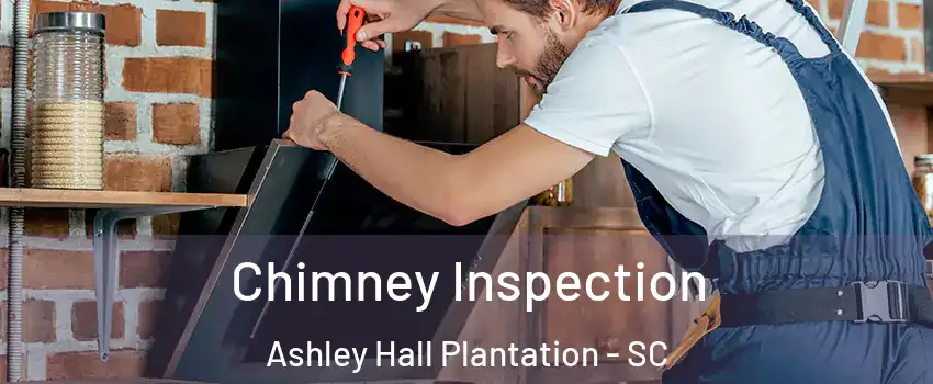 Chimney Inspection Ashley Hall Plantation - SC