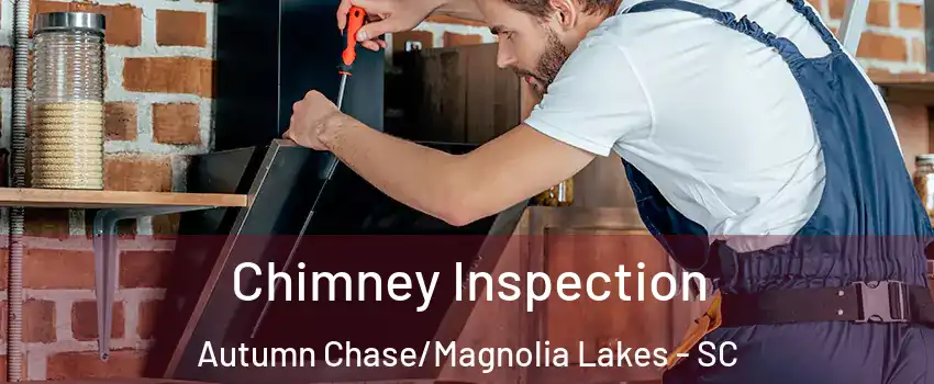 Chimney Inspection Autumn Chase/Magnolia Lakes - SC