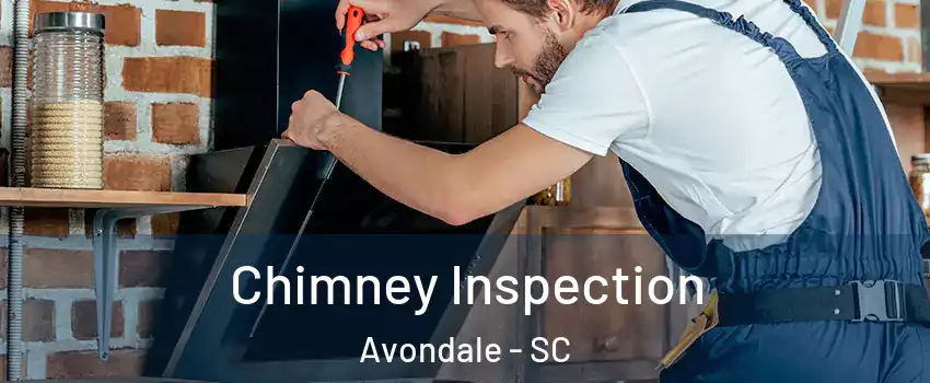 Chimney Inspection Avondale - SC