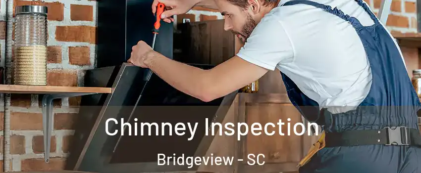 Chimney Inspection Bridgeview - SC