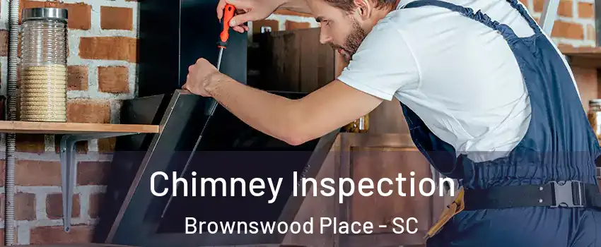 Chimney Inspection Brownswood Place - SC