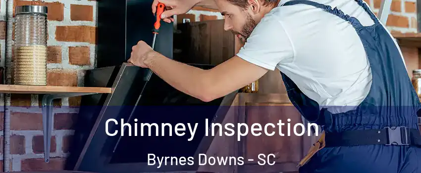 Chimney Inspection Byrnes Downs - SC