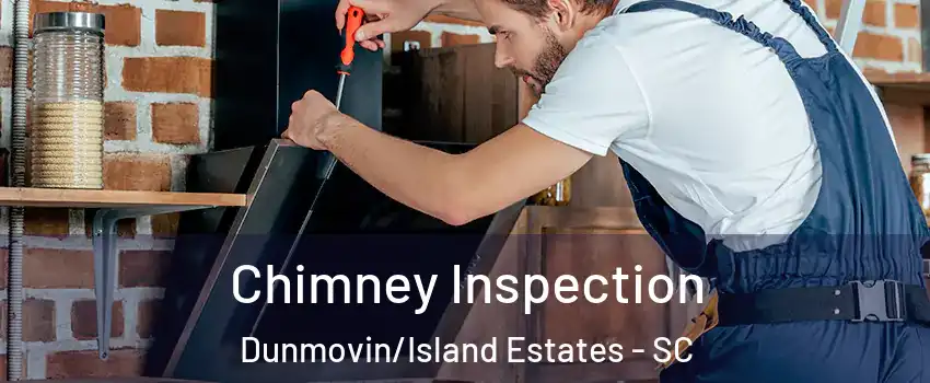 Chimney Inspection Dunmovin/Island Estates - SC