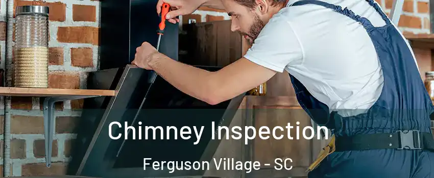 Chimney Inspection Ferguson Village - SC