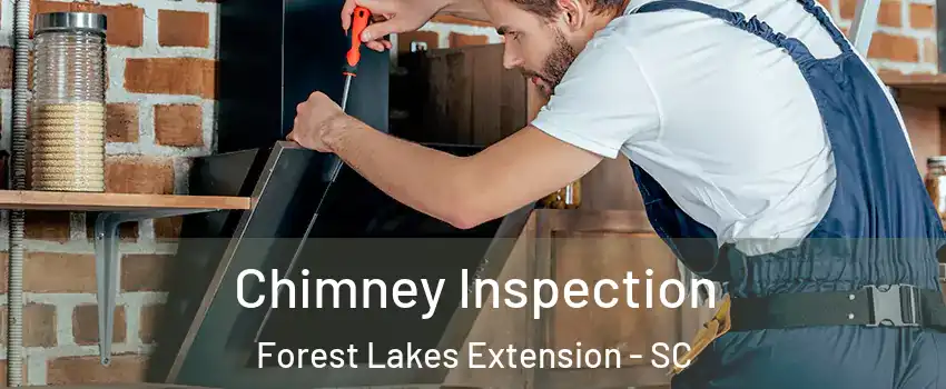 Chimney Inspection Forest Lakes Extension - SC