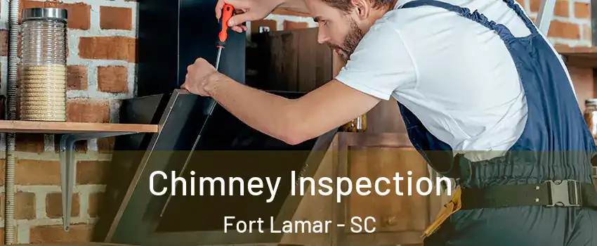 Chimney Inspection Fort Lamar - SC