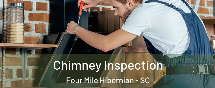 Chimney Inspection Four Mile Hibernian - SC