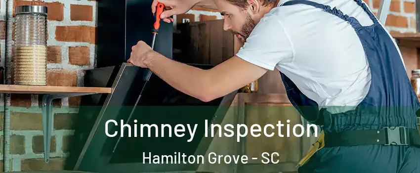 Chimney Inspection Hamilton Grove - SC