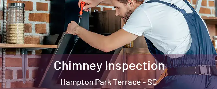 Chimney Inspection Hampton Park Terrace - SC