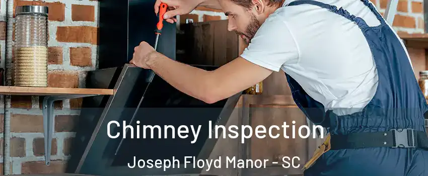 Chimney Inspection Joseph Floyd Manor - SC