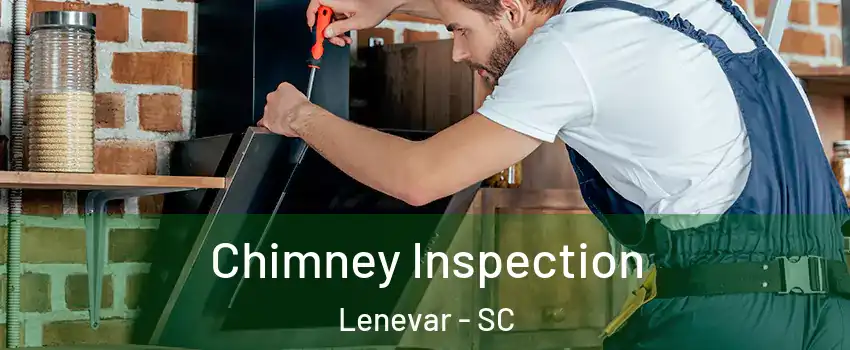 Chimney Inspection Lenevar - SC