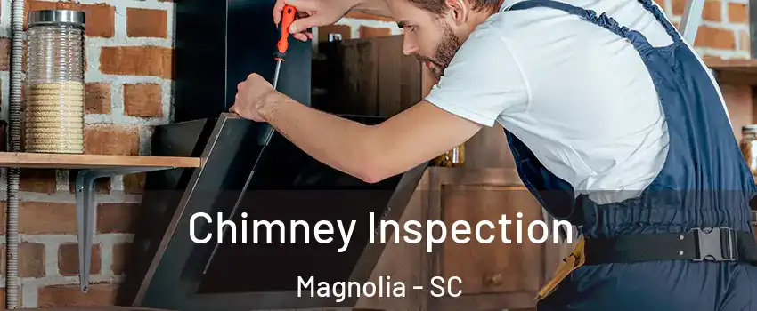 Chimney Inspection Magnolia - SC