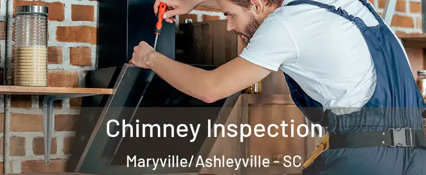 Chimney Inspection Maryville/Ashleyville - SC