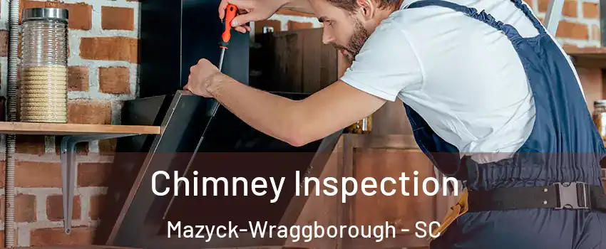 Chimney Inspection Mazyck-Wraggborough - SC