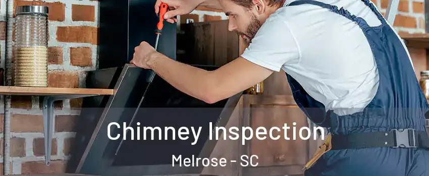 Chimney Inspection Melrose - SC