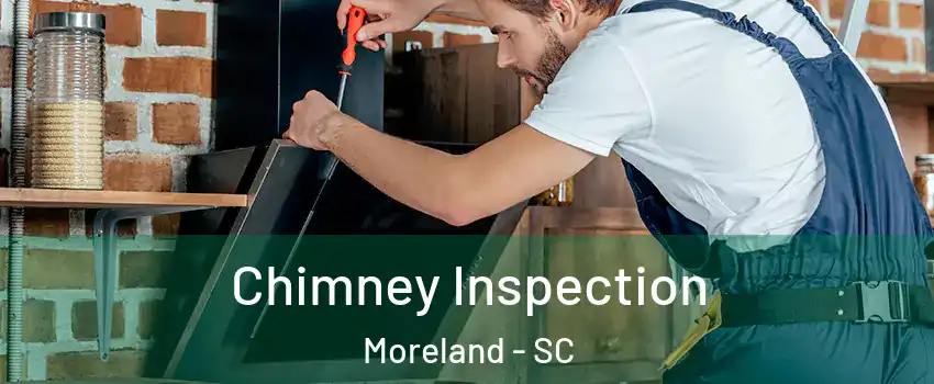 Chimney Inspection Moreland - SC