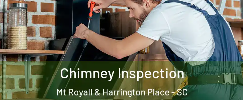 Chimney Inspection Mt Royall & Harrington Place - SC