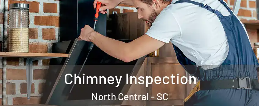 Chimney Inspection North Central - SC