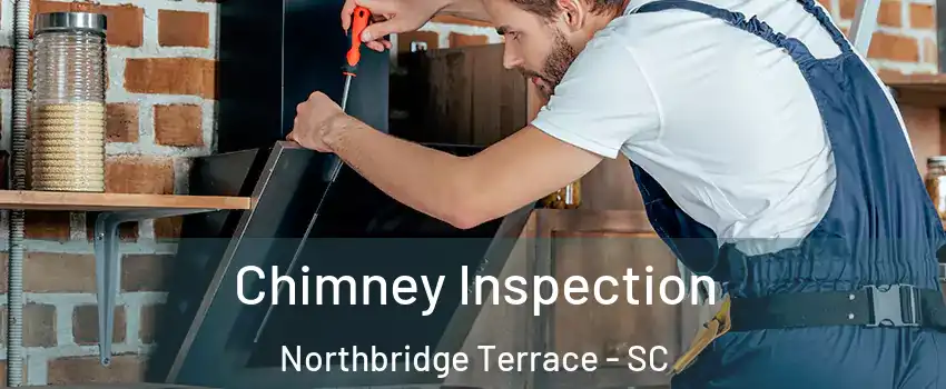 Chimney Inspection Northbridge Terrace - SC