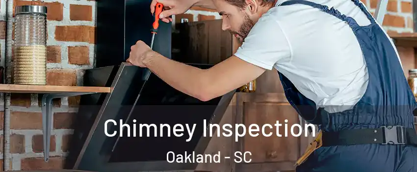 Chimney Inspection Oakland - SC