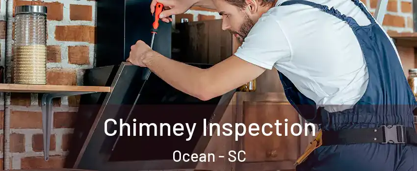 Chimney Inspection Ocean - SC