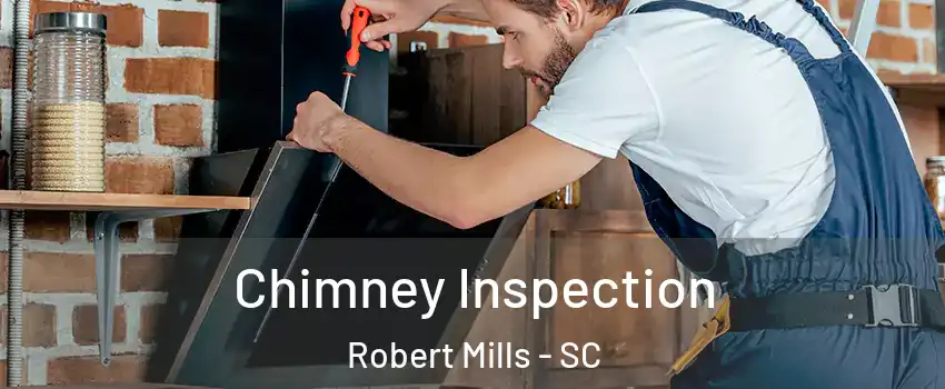 Chimney Inspection Robert Mills - SC