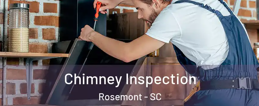 Chimney Inspection Rosemont - SC