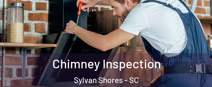 Chimney Inspection Sylvan Shores - SC