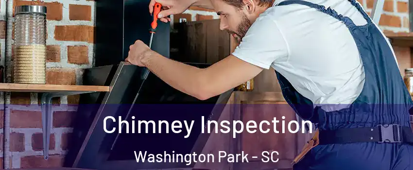 Chimney Inspection Washington Park - SC