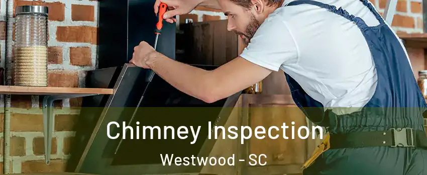 Chimney Inspection Westwood - SC