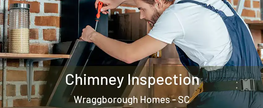 Chimney Inspection Wraggborough Homes - SC