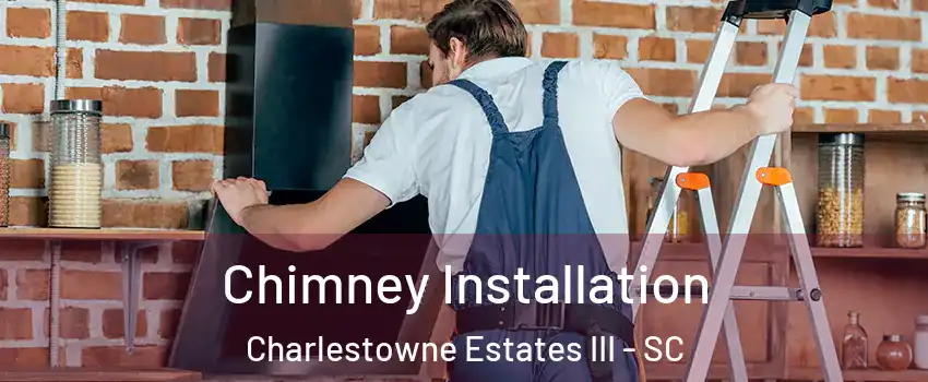 Chimney Installation Charlestowne Estates III - SC