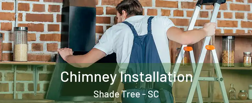 Chimney Installation Shade Tree - SC