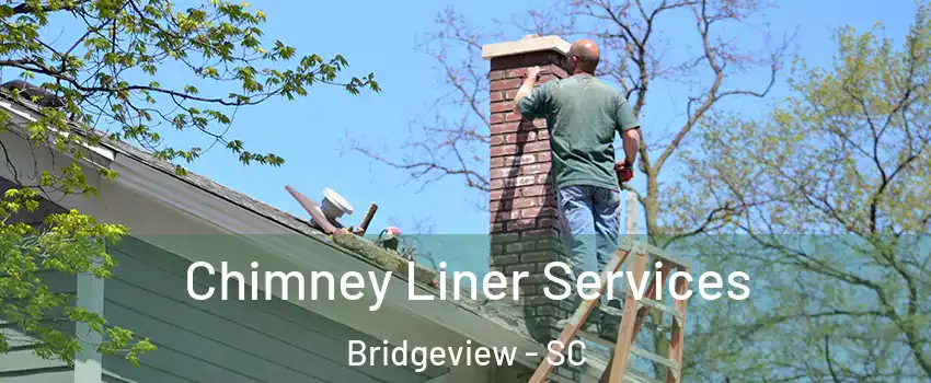 Chimney Liner Services Bridgeview - SC