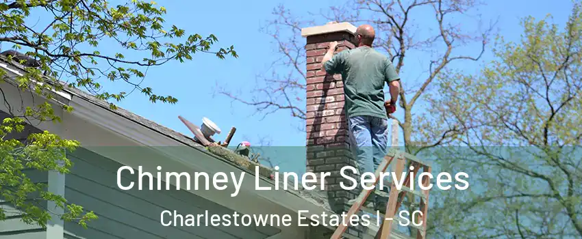 Chimney Liner Services Charlestowne Estates I - SC