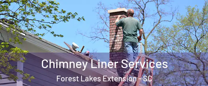 Chimney Liner Services Forest Lakes Extension - SC