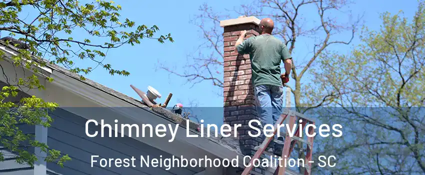 Chimney Liner Services Forest Neighborhood Coalition - SC