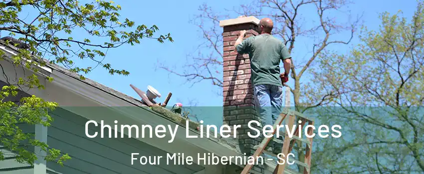 Chimney Liner Services Four Mile Hibernian - SC