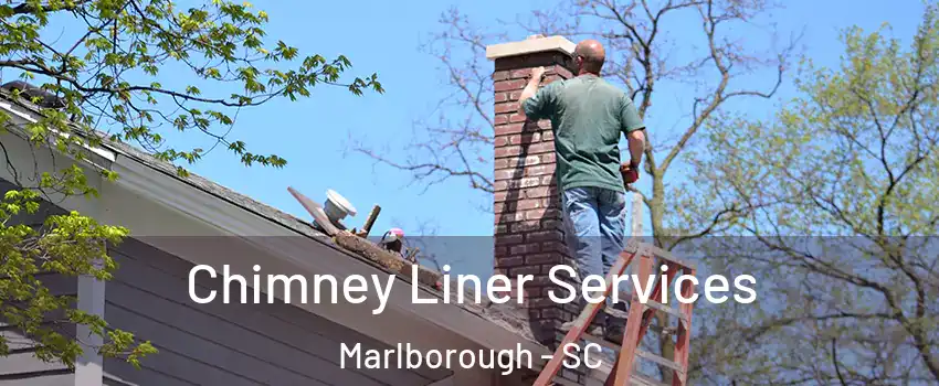 Chimney Liner Services Marlborough - SC