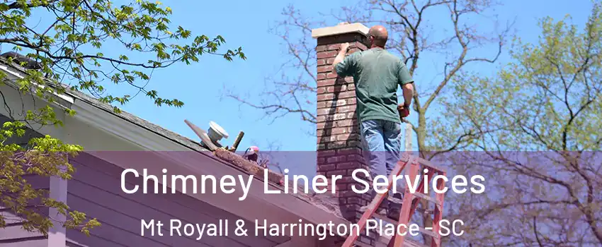 Chimney Liner Services Mt Royall & Harrington Place - SC