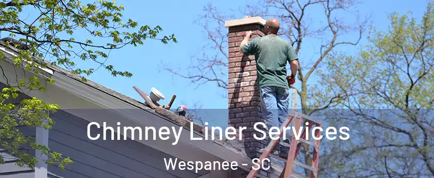 Chimney Liner Services Wespanee - SC