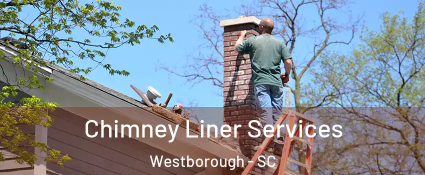 Chimney Liner Services Westborough - SC